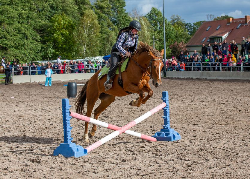 Turnier zum Hoffest Eutrich